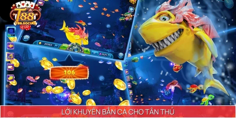 lời khuyên bắn cá cho tân thủ